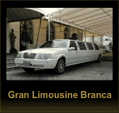 gallery/img-141336-limousine02-10365